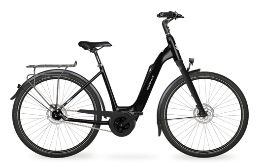 Velo de Ville Classic custom v.a. €2900