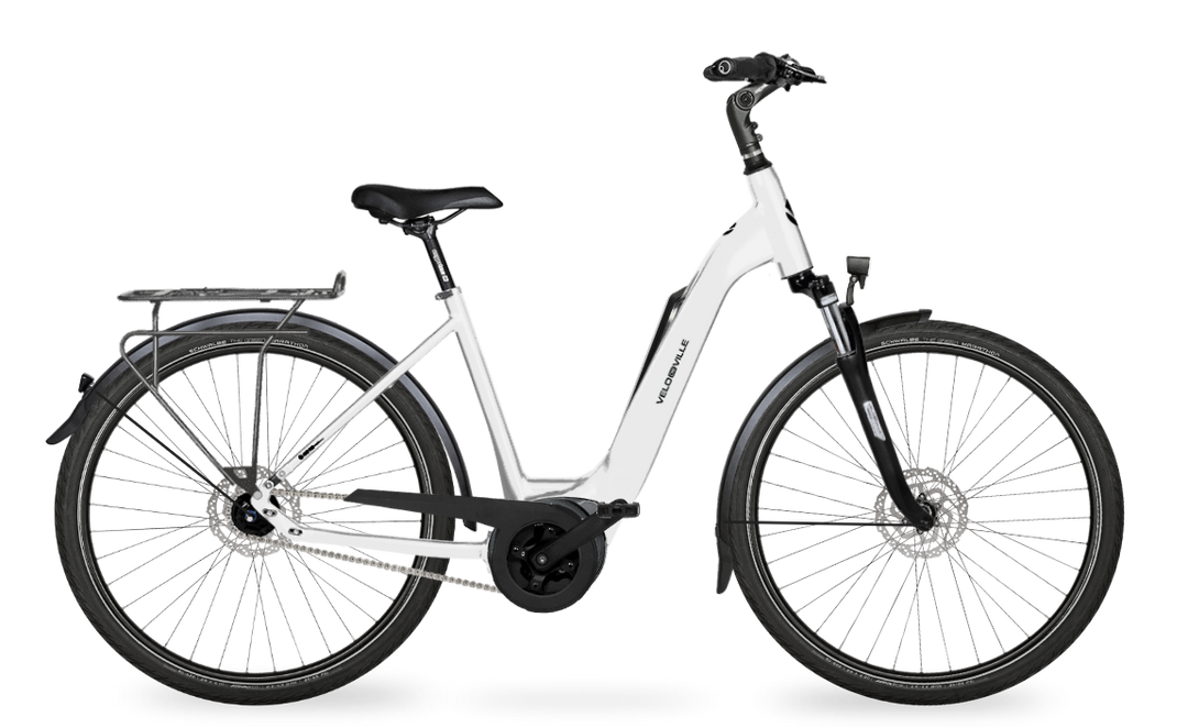 Velo de Ville Classic custom v.a. €2900