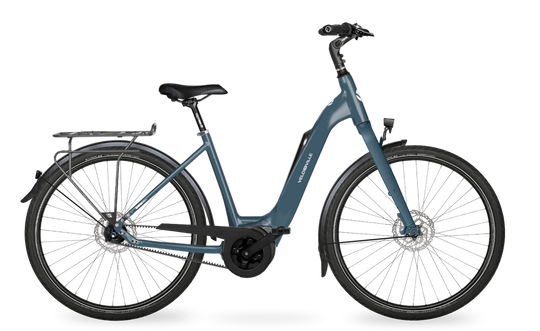 Velo de Ville Classic custom v.a. €2900