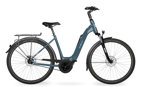 Velo de Ville Classic custom v.a. €2900