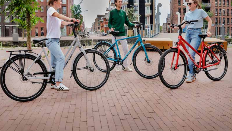 Azor Maastricht Easy D55