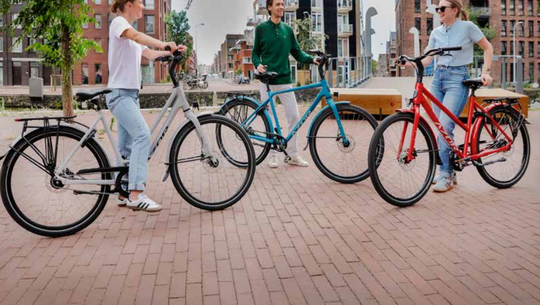 Azor Maastricht Easy D55