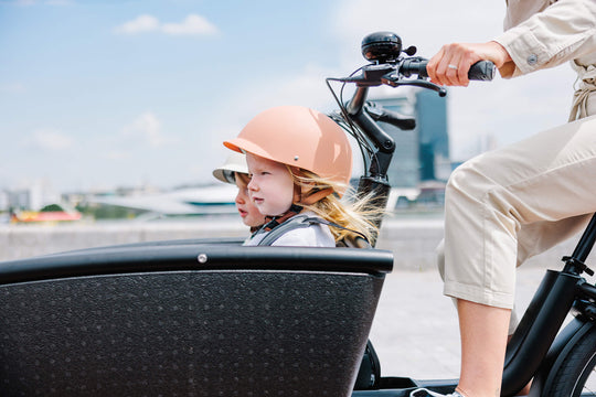 Urban Arrow Active Line Plus in Zwart – Inclusief Pakket T.w.v. €1.400!