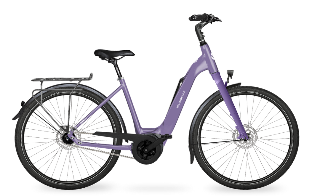 Velo de Ville Classic custom v.a. €2900