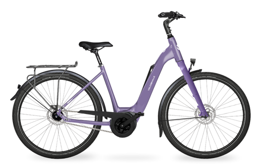 Velo de Ville Classic custom v.a. €2900