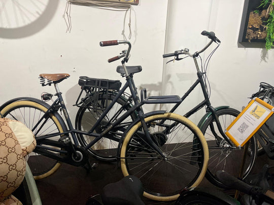 Azor Abdij Damesfiets – 55 cm – Ruigblauw Mat – Shimano Nexus 7 – Rollerbrakes – Voor- & Achterdrager – Schwalbe Crème Banden – RVS Velgen