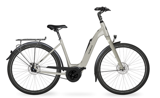 Velo de Ville Classic custom v.a. €2900