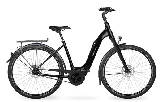 Velo de Ville Classic custom v.a. €2900
