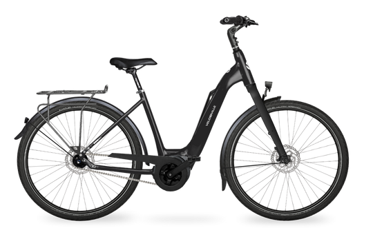 Velo de Ville Classic custom v.a. €2900