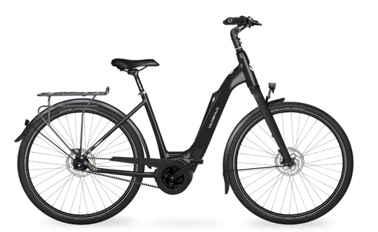 Velo de Ville Classic custom v.a. €2900