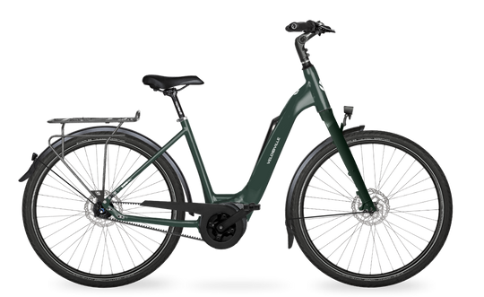 Velo de Ville Classic custom v.a. €2900