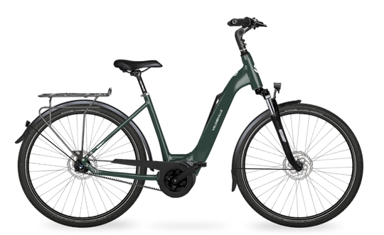 Velo de Ville Classic custom v.a. €2900