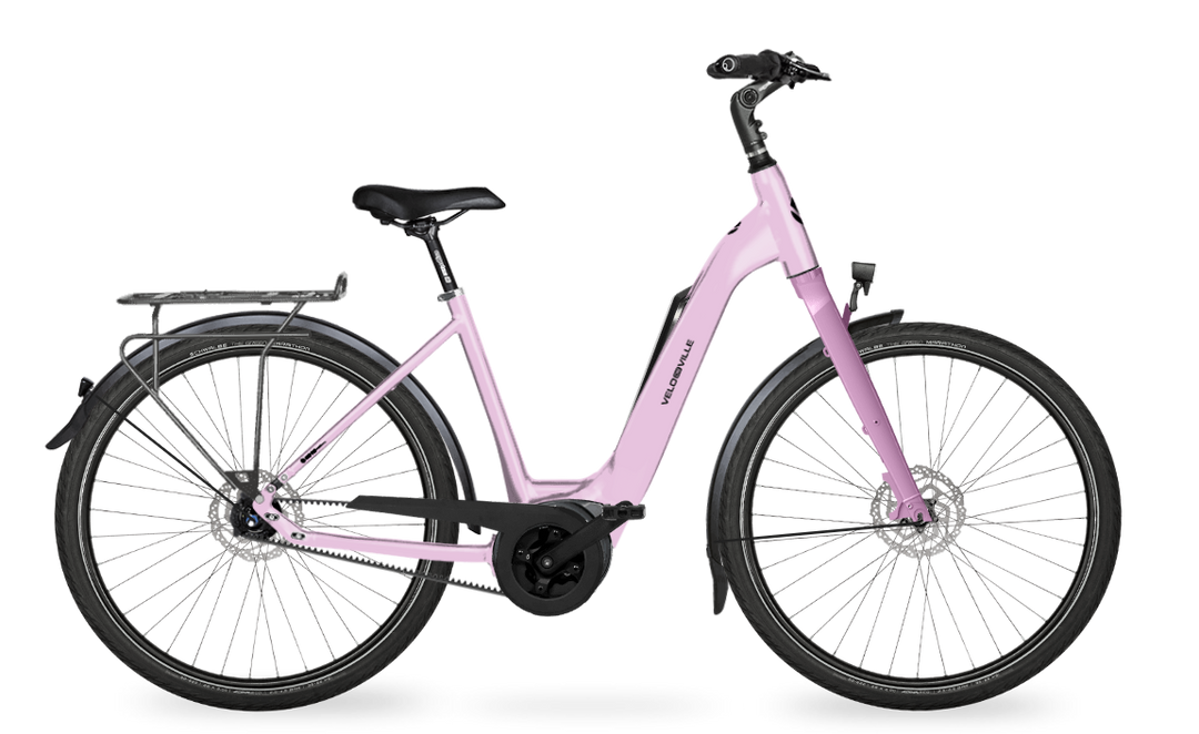 Velo de Ville Classic custom v.a. €2900