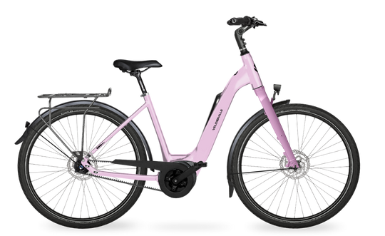 Velo de Ville Classic custom v.a. €2900