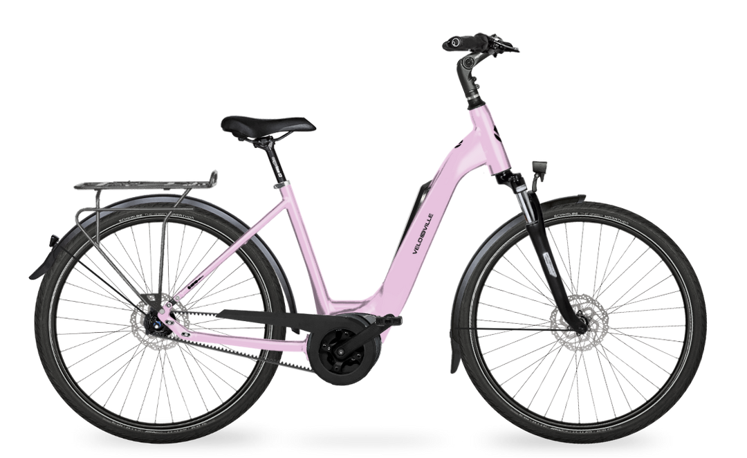 Velo de Ville Classic custom v.a. €2900