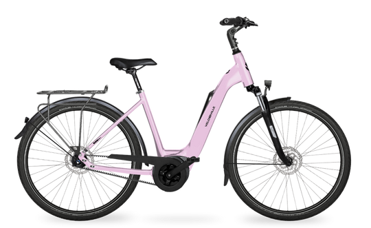 Velo de Ville Classic custom v.a. €2900