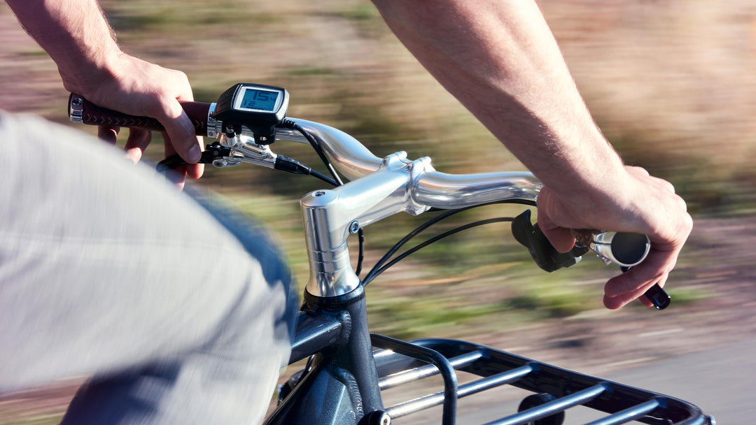 Schindelhauer Heinrich VIII 53cm — Stijlvolle e-bike met premium techniek