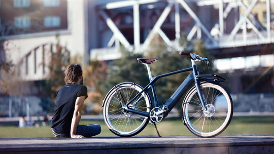 Schindelhauer Heinrich VIII 53cm — Stijlvolle e-bike met premium techniek