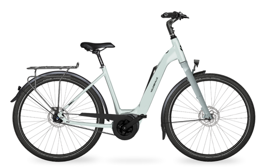 Velo de Ville Classic custom v.a. €2900