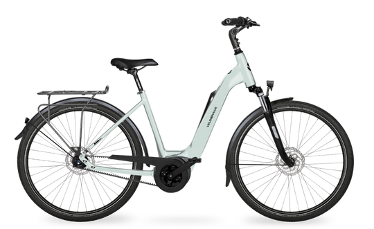 Velo de Ville Classic custom v.a. €2900