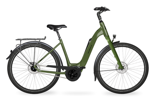 Velo de Ville Classic custom v.a. €2900