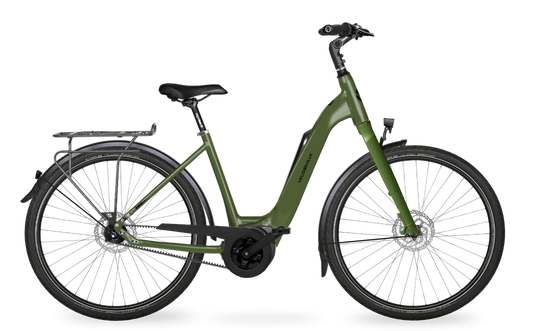 Velo de Ville Classic custom v.a. €2900