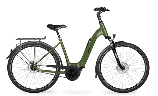 Velo de Ville Classic custom v.a. €2900