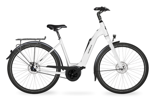 Velo de Ville Classic custom v.a. €2900