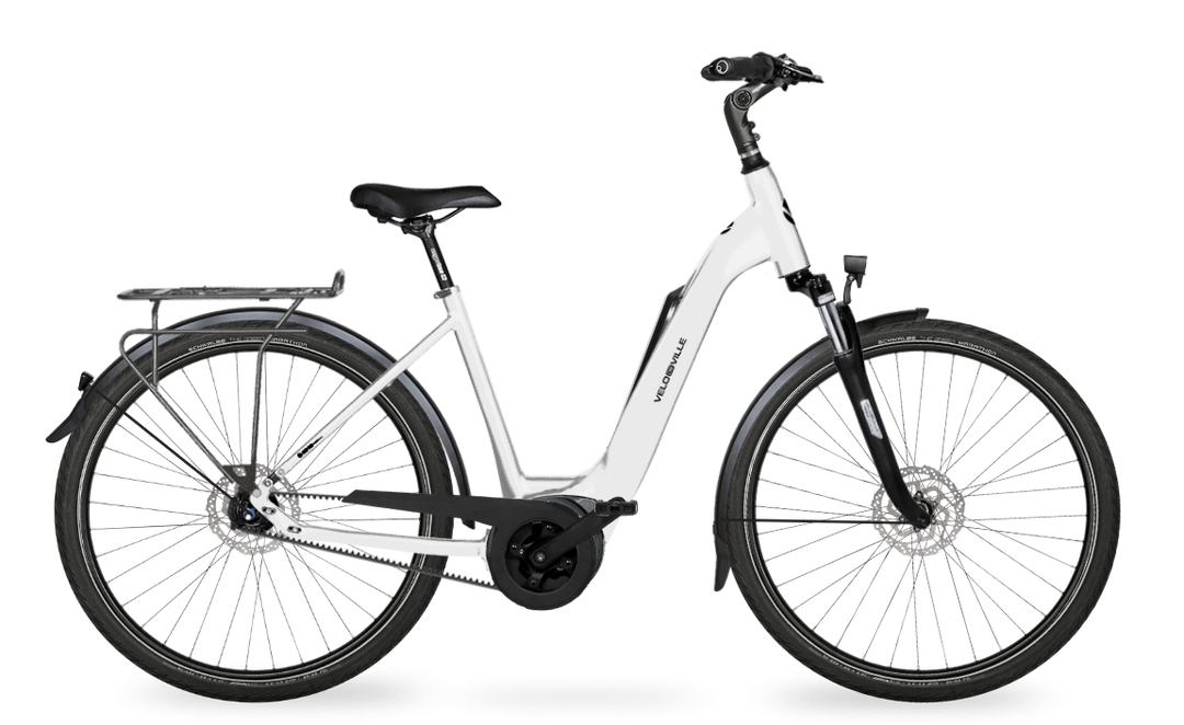 Velo de Ville Classic custom v.a. €2900