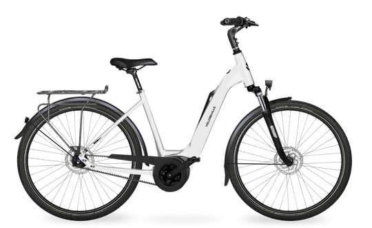 Velo de Ville Classic custom v.a. €2900