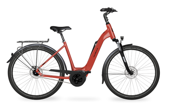 Velo de Ville Classic custom v.a. €2900
