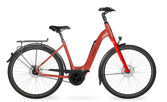 Velo de Ville Classic custom v.a. €2900