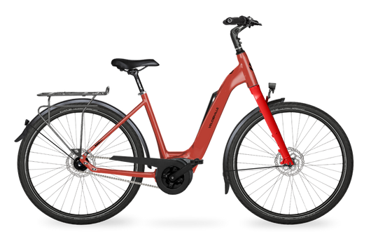 Velo de Ville Classic custom v.a. €2900