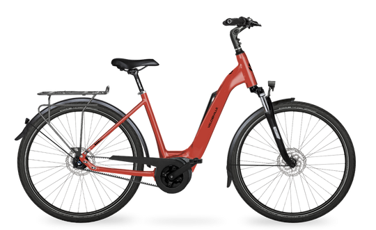 Velo de Ville Classic custom v.a. €2900