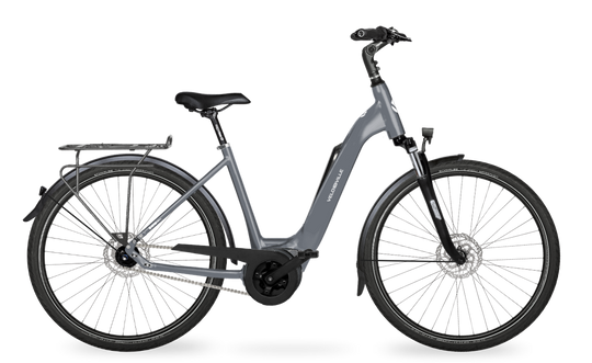 Velo de Ville Classic custom v.a. €2900