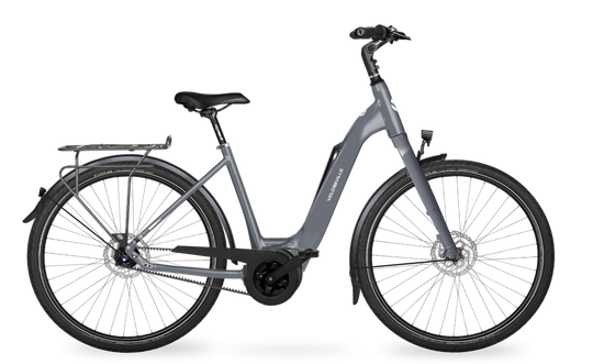 Velo de Ville Classic custom v.a. €2900