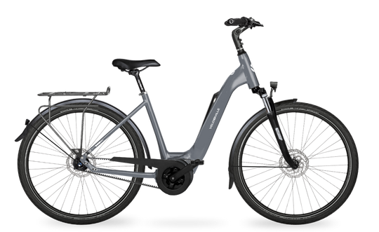 Velo de Ville Classic custom v.a. €2900