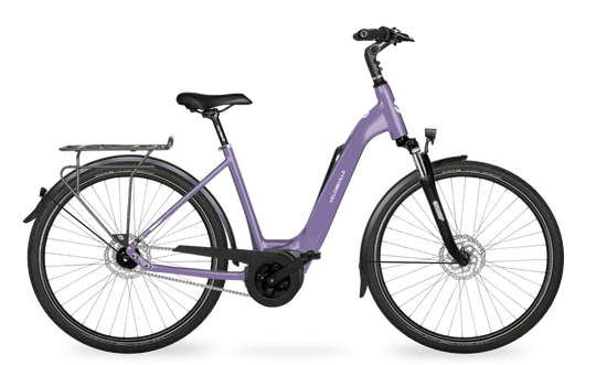 Velo de Ville Classic custom v.a. €2900
