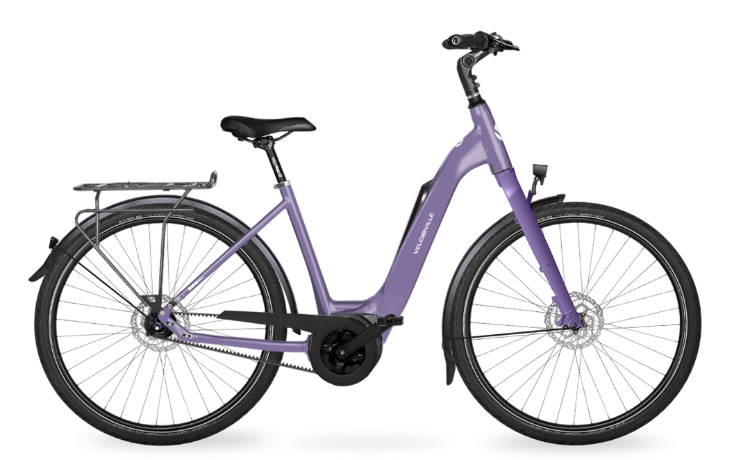 Velo de Ville Classic custom v.a. €2900
