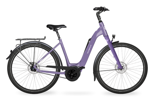 Velo de Ville Classic custom v.a. €2900