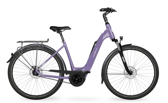 Velo de Ville Classic custom v.a. €2900